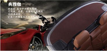 飛石專車專用汽車后櫥窗墊 提升駕駛安全的貼心設(shè)計